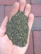 KELP MEAL, SEA MINERAL 50#