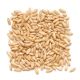OATS, HULLED TOASTED ORGANIC 1#/5#/25#/50#