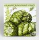 ABUNDANT BLOOMSDALE SPINACH ORG. 100 seeds Hudson