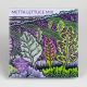 METTA LETTUCE MIX, ORGANIC 250seeds HudsonValley