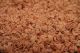 GRANOLA, MAGICAL MAPLE ORG NewEngNaturals 1/5/25#