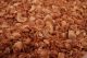 GRANOLA, SAVE FOREST NUT NewEngNaturals 1/5/25#