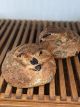 KALAMATA OLIVE SOURDOUGH SMALL ORG Allegro
